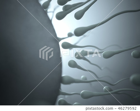Sperm Meets Egg 46279592