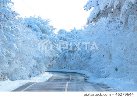 道路，通往漢拏山，雪，雪，雪， 46279644