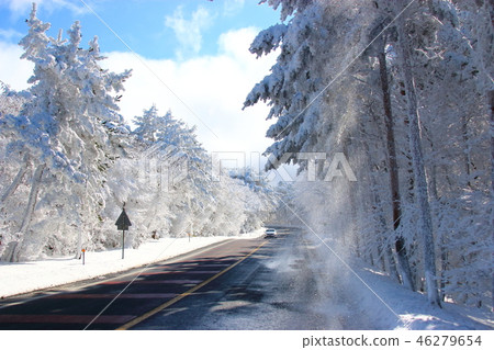 道路，通往漢拏山，雪，雪，雪， 46279654