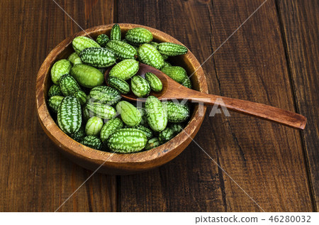 Melothria scabra, mouse melon, miniature mexican 46280032