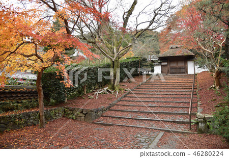 秋天安祖拉寺 秋天安祖拉寺 46280224