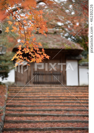 秋天安祖拉寺 46280226