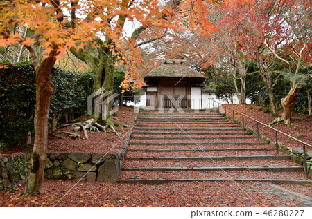 秋天安祖拉寺 秋天安祖拉寺 46280227