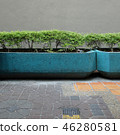 街角景觀種植華爾街角落 46280581