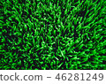 Artificial grass at the football field. 46281249