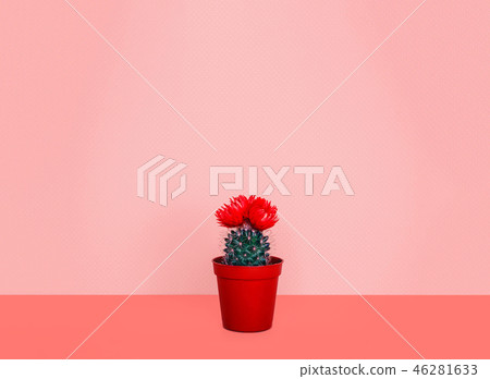 Small cactus in a flowerpot on a trendy background. Small cactus in a flowerpot on a trendy background. 46281633