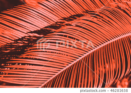 Creative tropical green leaves layout. Creative tropical green leaves layout. 46281638