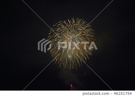 Niigata Prefecture Nagaoka Fireworks 46281784