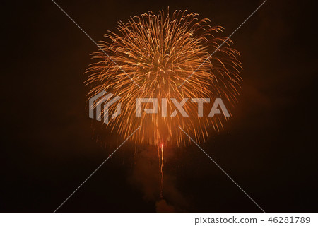 新潟縣長岡煙花 46281789