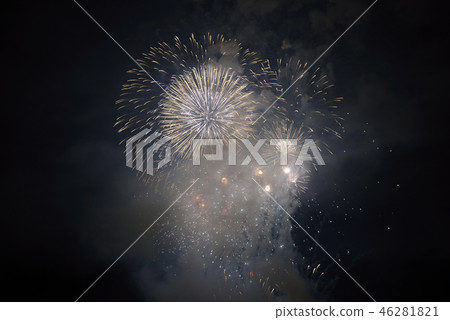 Niigata Prefecture Nagaoka Fireworks 46281821