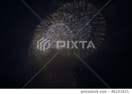 Niigata Prefecture Nagaoka Fireworks 46281825