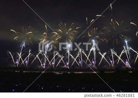 Niigata Prefecture Nagaoka Fireworks 46281881