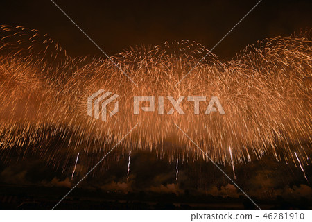 Niigata Prefecture Nagaoka Fireworks 46281910