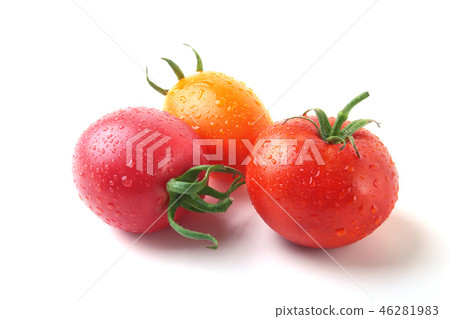 assorted fresh tomatoes with green leaves isolated on white background assorted fresh tomatoes with green leaves isolated on white background 46281983