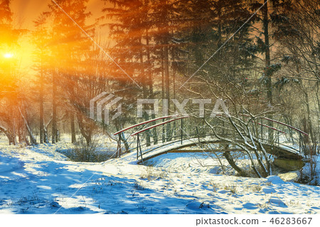 Sunlight breaks through the trees in winter. 46283667