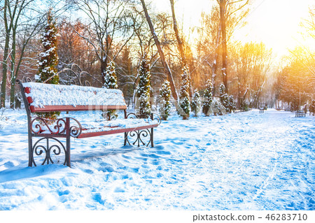 Park bench and trees covered by heavy snow. Park bench and trees covered by heavy snow. 46283710