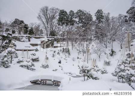 [Gyokusen-in Maru Garden, snow hanging] 46283956