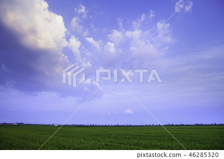 Fields and clouds 46285320
