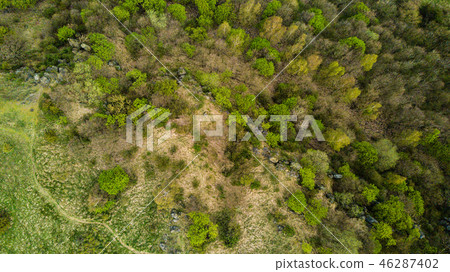Aerial view of rural area with fields and forests. Aerial view of rural area with fields and forests. 46287402