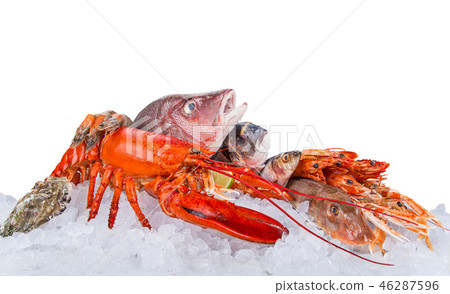 Fresh tasty seafood served on crushed ice. Fresh tasty seafood served on crushed ice. 46287596