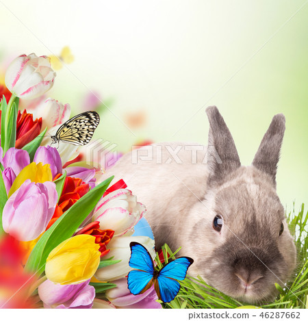 Easter bunny and Easter eggs on green grass Easter bunny and Easter eggs on green grass 46287662