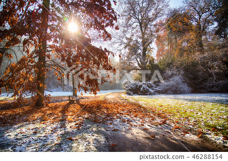 Autumn forest. Beautiful rural scenery. 46288154