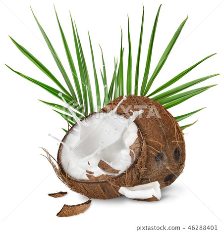 close-up of a coconuts with milk splash on white background 46288401