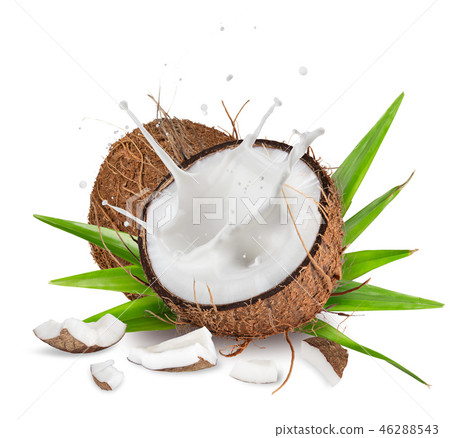 close-up of a coconuts with milk splash on white background close-up of a coconuts with milk splash on white background 46288543