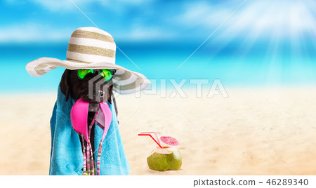 Funny summer black dog with summer accessories. 46289340