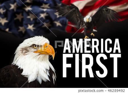 Bald Eagle with American flag 46289492