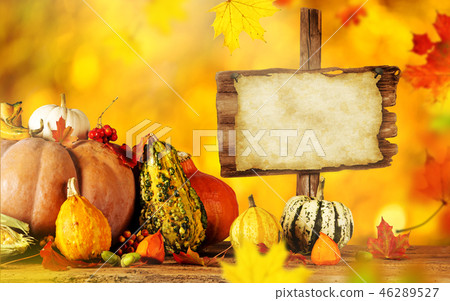 Autumn still-life with pumpkins and leaves. Autumn still-life with pumpkins and leaves. 46289527