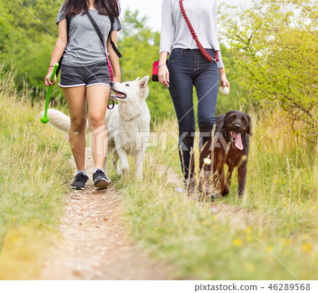 Young women with their dogs walking. Young women with their dogs walking. 46289568