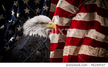American Bald Eagle with Flag. 46289587