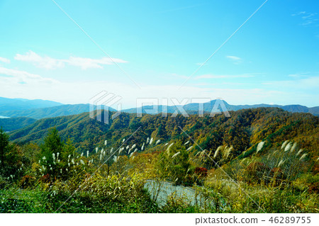 Nishi Agatsuma Sky Valley Autumn leaves Nishi Agatsuma Sky Valley Autumn leaves 46289755