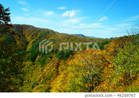 Nishi Agatsuma Sky Valley秋葉 Nishi Agatsuma Sky Valley秋葉 46289767