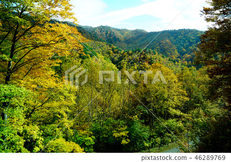 Nishi Agatsuma Sky Valley Autumn leaves Nishi Agatsuma Sky Valley Autumn leaves 46289769