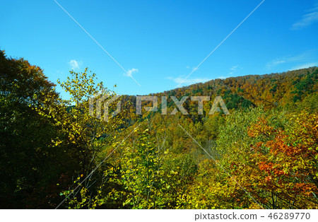 Nishi Agatsuma Sky Valley秋葉 Nishi Agatsuma Sky Valley秋葉 46289770