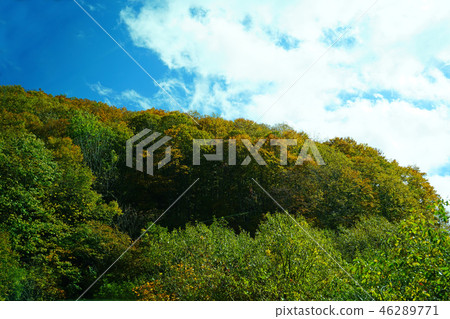 Nishi Agatsuma Sky Valley秋葉 Nishi Agatsuma Sky Valley秋葉 46289771