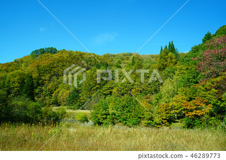 Nishi Agatsuma Sky Valley秋葉 Nishi Agatsuma Sky Valley秋葉 46289773