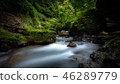 山間溪流，山谷，瀑布，瀑布 46289779