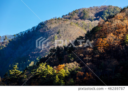 Autumn Fuji Kawaguchiko mountain foliage Autumn Fuji Kawaguchiko mountain foliage 46289787
