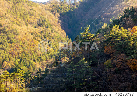 Autumn Fuji Kawaguchiko mountain foliage 46289788