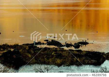 Autumn Fuji Kawaguchiko mountain foliage 46289798