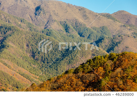 Autumn Fuji Kawaguchiko mountain foliage Autumn Fuji Kawaguchiko mountain foliage 46289800