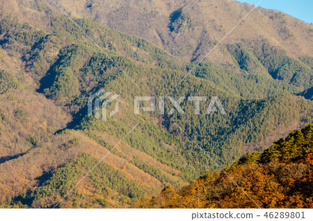 Autumn Fuji Kawaguchiko mountain foliage Autumn Fuji Kawaguchiko mountain foliage 46289801
