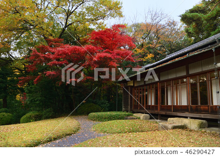 老房子和秋天的花園 老房子和秋天的花園 46290427