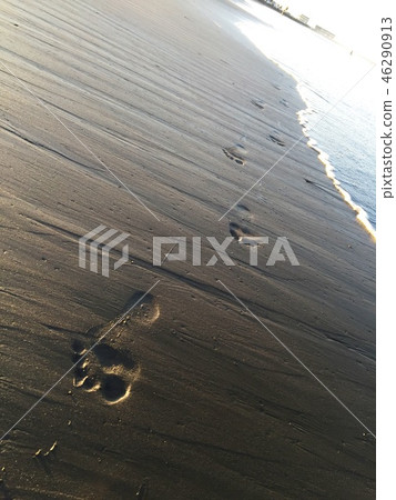 湘南 - 菅沼海岸 46290913