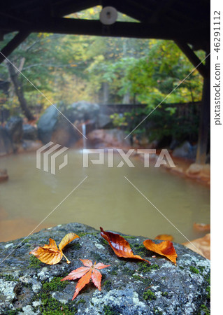 Hot Springs (Okuhida Onsenkyo / Hirayu Onsen) 46291112
