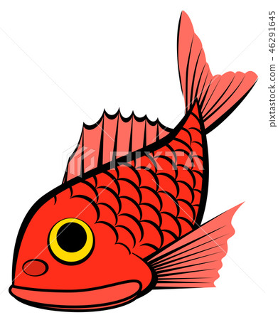 鯛魚 鯛魚 46291645