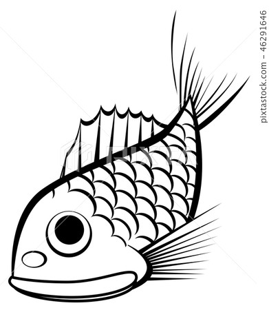 鯛魚 鯛魚 46291646